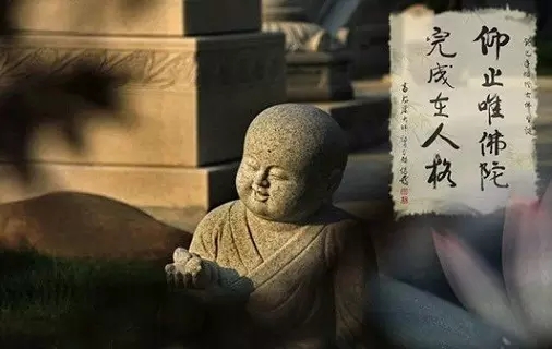 �㲻֪����������ж����