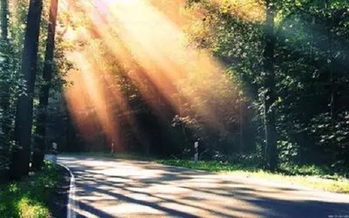 有贪心无成就 有贪心无成就