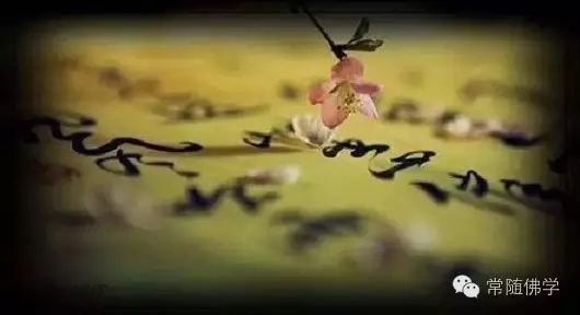 ����Լ�æ��һ����Ϳ