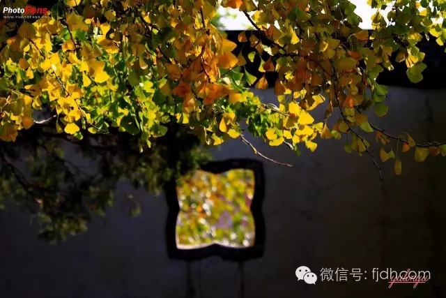 �����˽�����һ��֮���뾻��ʧ֮����