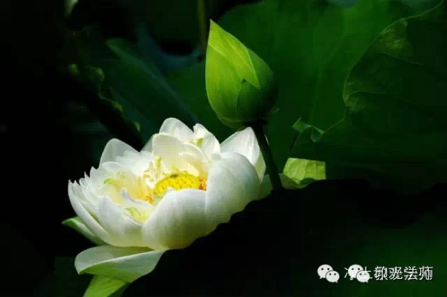 ӡ���ʦΪŮ�Դȱ���ʾ����Ů�������ڡ����С��ٲ���������