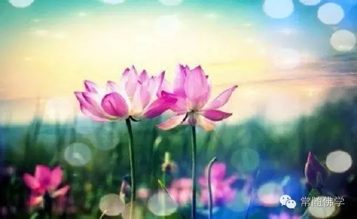 修道人有几点应注意 修道人有几点应注意