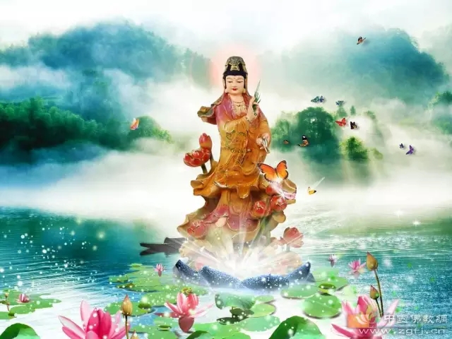 �������ҵ�������ĸ�Ӧ����