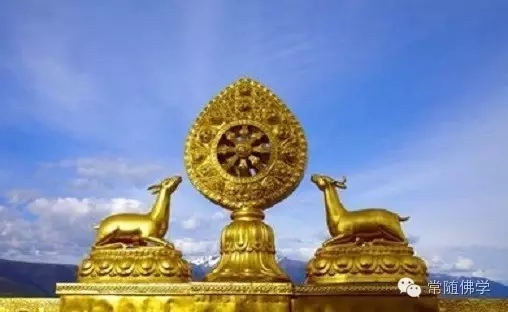 ���÷�ȥ�ı��Լ�_ѧ���û������