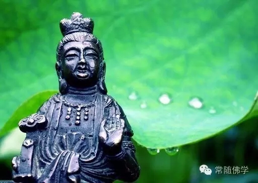 ѧ���Ƿ���һ��_������������ǻ�