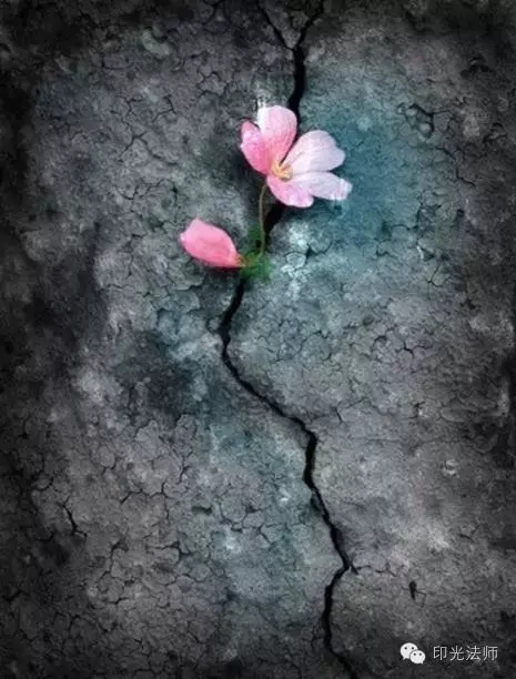 ӡ���ʦ���澳����ƪ��