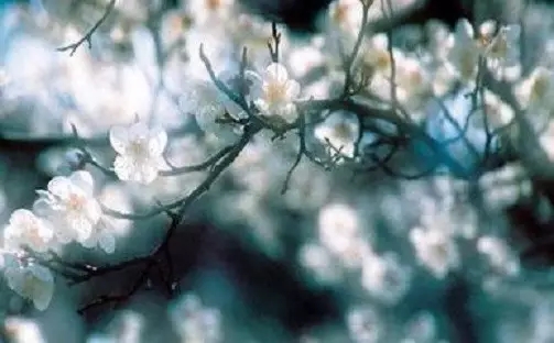 ���������з��յķ���