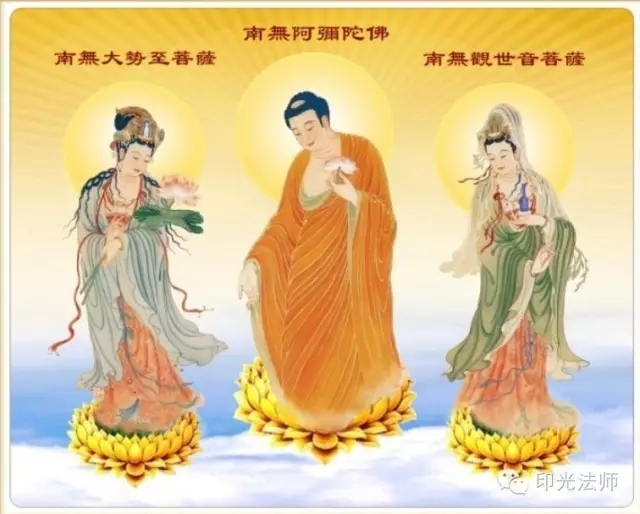 ӡ���ʦ��Ȱ������β���������ҽҩ��Ч����ҵ��������Ҫ������ҽ