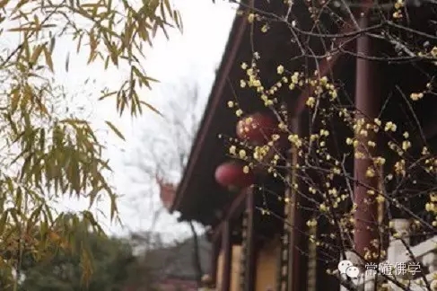 �����徻ɮ�Ƿ��Ż�������