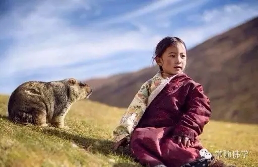 ������ƽ�ȡ��ǿ͹۴��ڵĲ�������