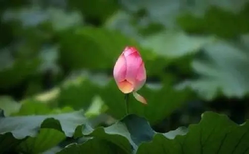 ΪʲôҪ�����ô��?