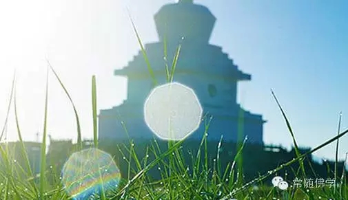 ��������˽��������Ϊ��ҽ���Ի���ɮ