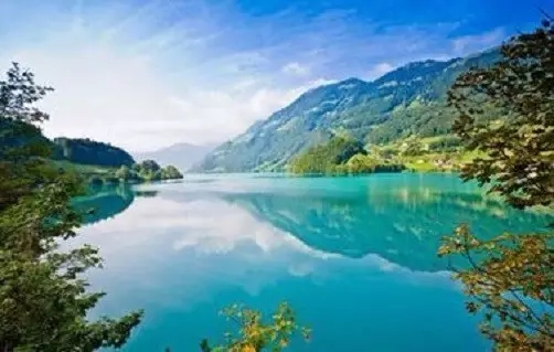 Ϊɶ�������ϲ��ɹ���