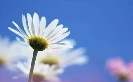 ���������Ҳ��������