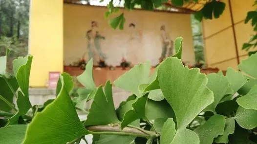 ѧ��֮�˱�������˵�û��к���