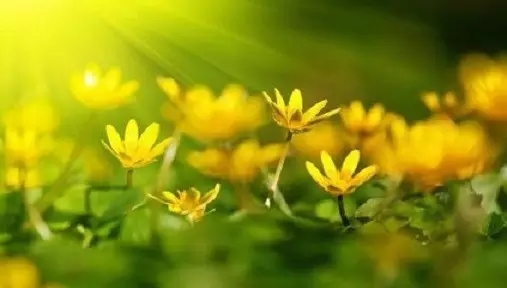 任劳任怨才能做成大事 任劳任怨才能做成大事