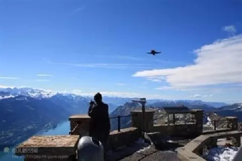 Ϊʲô����������ˣ�