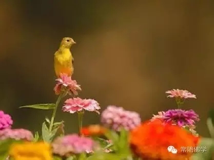 ���裡����˵�����׶���������