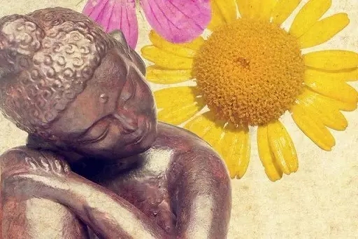 佛教的爱是不是太无情? 佛教的爱是不是太无情?