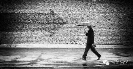 �����������ʹ��ġ�ʮ��ǽ