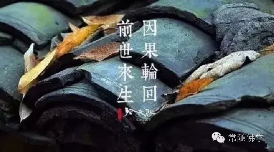 ������ֻص���Щ�¶�