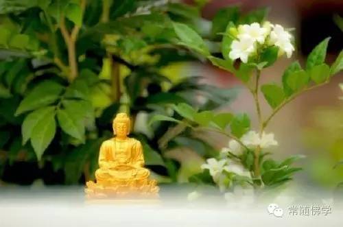 ƾʲô�˼���Ǯ�и��������������������