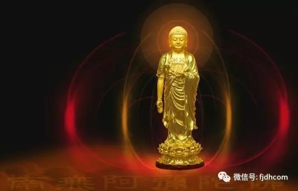 �����Ҫ�ѷ�Ŷ�λ��Ψһ�ľȰ���