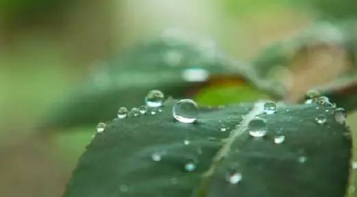 净化心灵的妙处 净化心灵的妙处