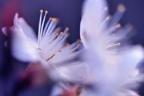 不要等到一切结束时再去后悔人生的虚度 不要等到一切结束时再去后悔人生的虚度