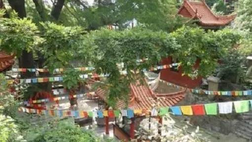 什么才是真正的佛事? 什么才是真正的佛事?