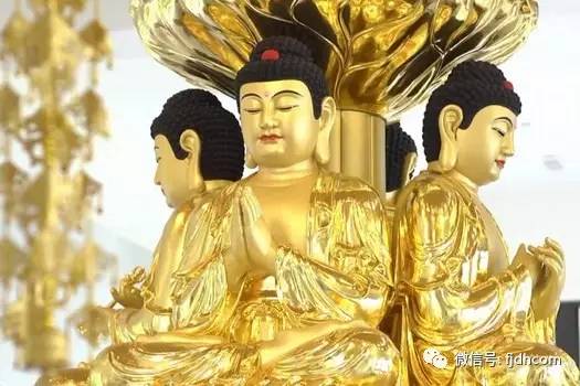 ����ֱ��ģ��������