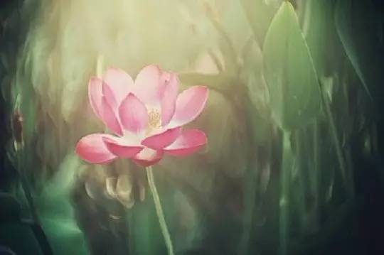 ����ʱһ�������ƶ��ȫ��ӿ��