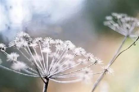 追求是不是欲望? 追求是不是欲望?