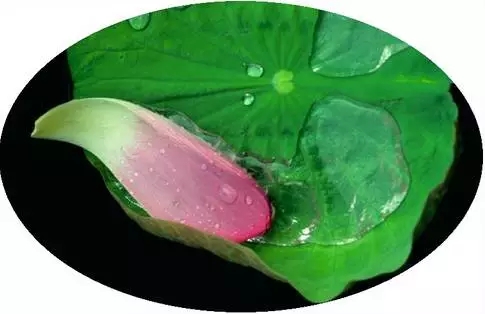 �����澻���ġ������ݺ���ּ��ʲô��