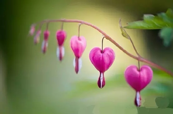 ��������ʵһ�˰���_û�б�Ӧ��