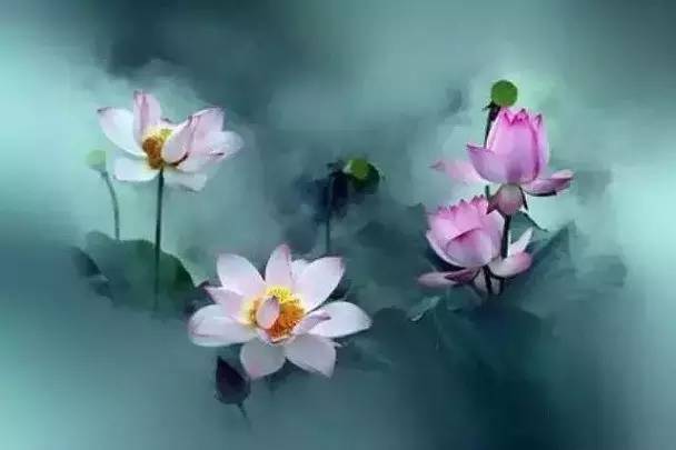 Ϊʲô�����»ᴦ�������ѣ�