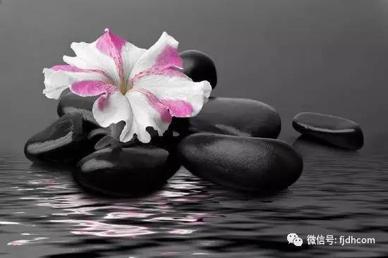 ��Ϊ֪����������Ҫ��ϧÿһ��