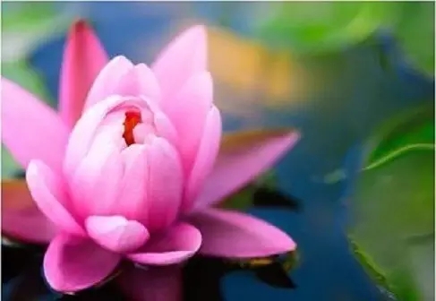 关于人生得与失的真相 关于人生得与失的真相