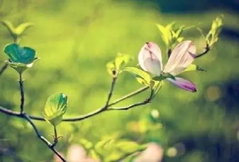 懂得珍爱自己 懂得珍爱自己