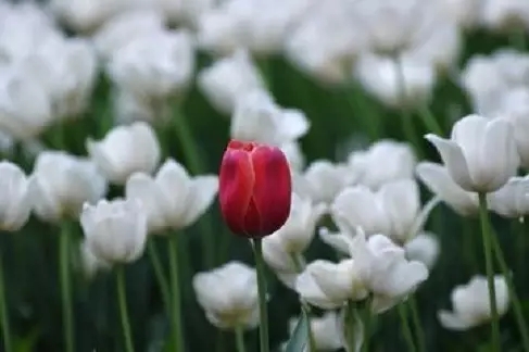 ������ϰ����