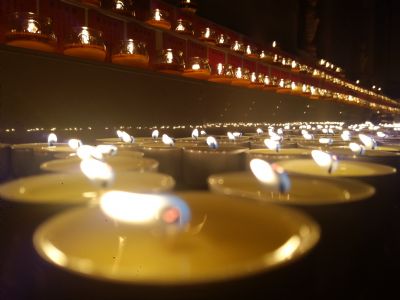 2016年智者大师圆寂纪念日念佛供灯法会精彩回顾总结 2016年智者大师圆寂纪念日念佛供灯法会精彩回顾总结