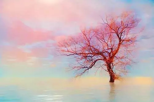 想清楚这15个问题_一切就都明白了 想清楚这15个问题_一切就都明白了