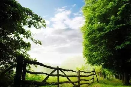 想清楚这15个问题_一切就都明白了 想清楚这15个问题_一切就都明白了