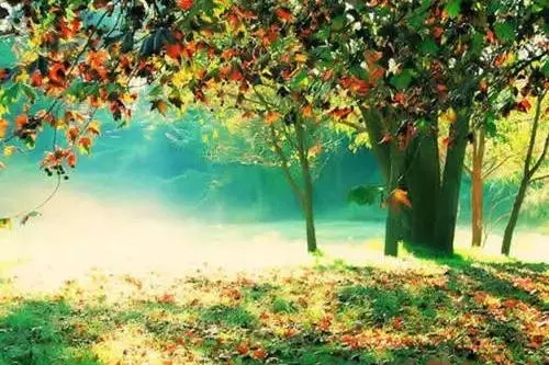 想清楚这15个问题_一切就都明白了 想清楚这15个问题_一切就都明白了