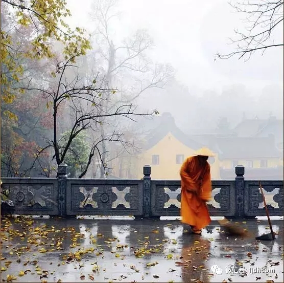 ��ʵ������԰���ʳס�ж��������