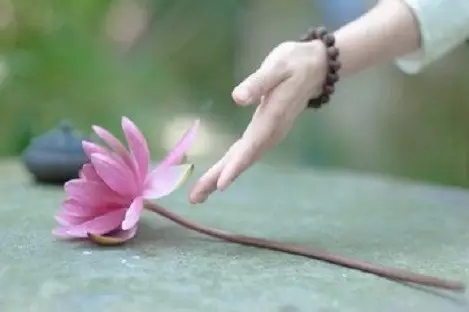 佛教的特质——禅 佛教的特质——禅