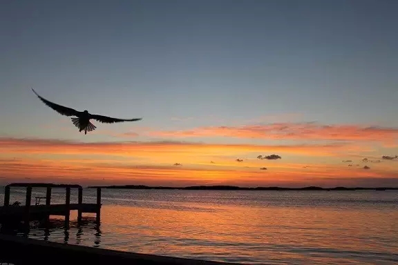 �����޳��������⡣���޵������������