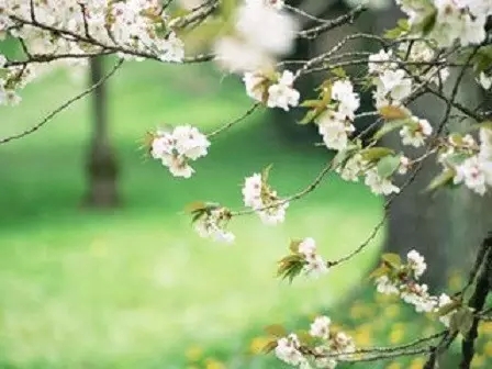 证严法师静思语录50条 证严法师静思语录50条