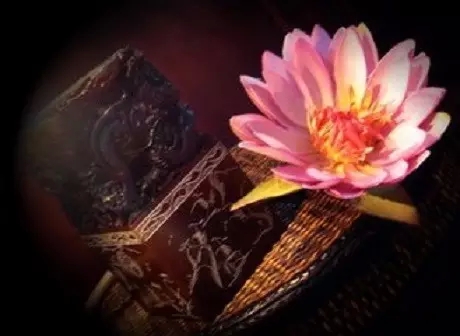 ������֮��ì�ܲ�����ԭ����ʲô��