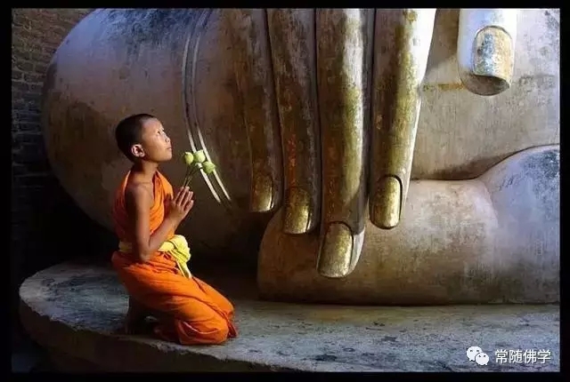 ���Ƕ������˵ĺ��ӣ����ӵ���ؼң�